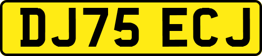 DJ75ECJ