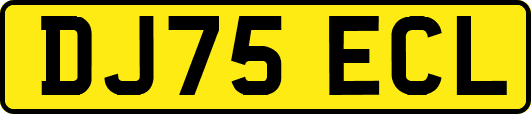 DJ75ECL