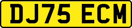 DJ75ECM