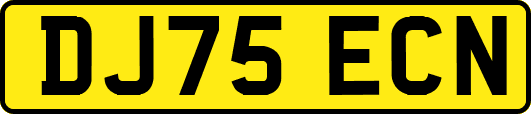 DJ75ECN