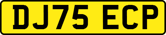 DJ75ECP