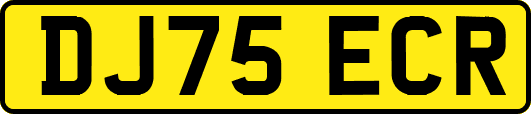 DJ75ECR