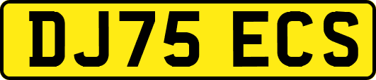 DJ75ECS