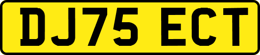 DJ75ECT