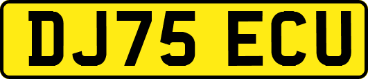 DJ75ECU