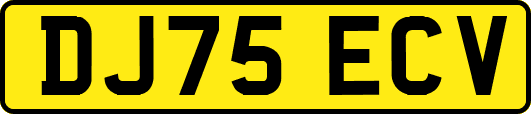 DJ75ECV
