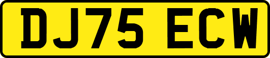 DJ75ECW