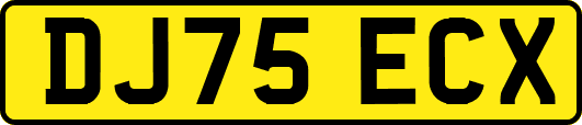 DJ75ECX