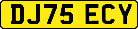 DJ75ECY