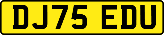 DJ75EDU