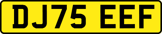 DJ75EEF