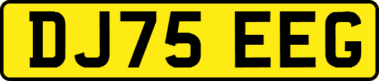 DJ75EEG