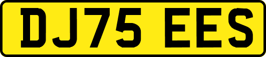 DJ75EES