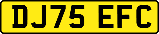DJ75EFC