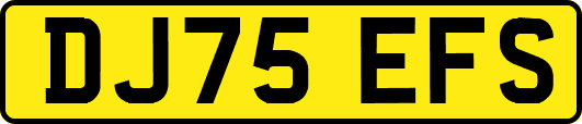 DJ75EFS
