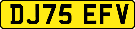 DJ75EFV