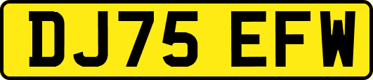 DJ75EFW
