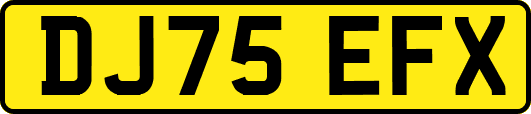 DJ75EFX