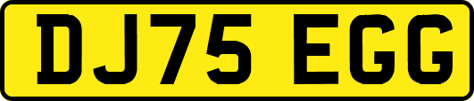 DJ75EGG