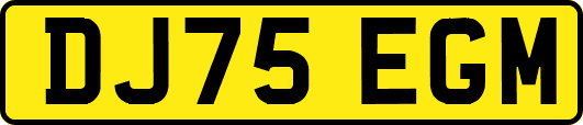 DJ75EGM
