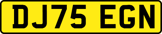 DJ75EGN