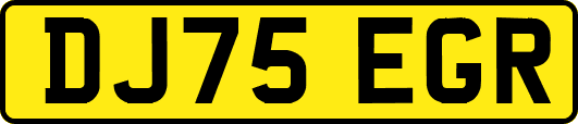 DJ75EGR