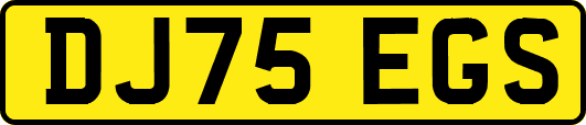 DJ75EGS