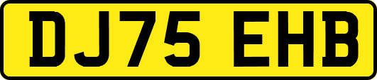 DJ75EHB