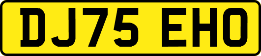 DJ75EHO