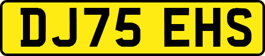 DJ75EHS