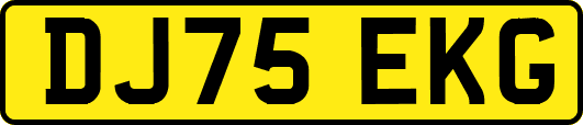 DJ75EKG