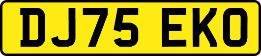 DJ75EKO
