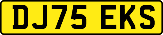 DJ75EKS