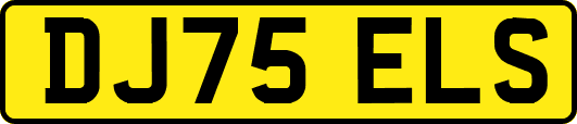 DJ75ELS