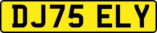 DJ75ELY