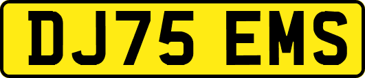 DJ75EMS