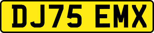 DJ75EMX