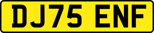DJ75ENF