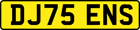 DJ75ENS