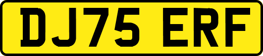 DJ75ERF