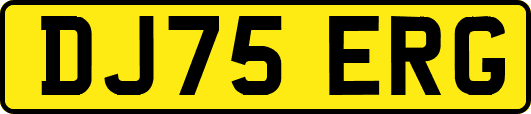 DJ75ERG