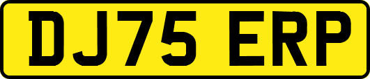 DJ75ERP