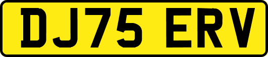 DJ75ERV