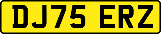 DJ75ERZ