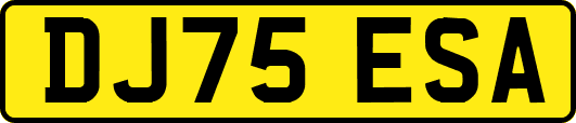DJ75ESA