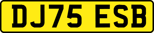DJ75ESB