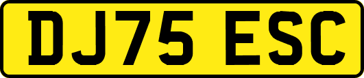DJ75ESC