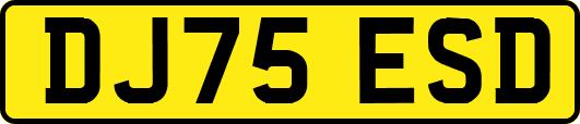 DJ75ESD