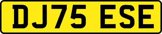 DJ75ESE
