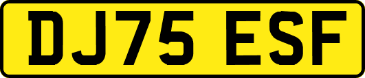 DJ75ESF